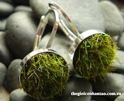 Qùa tặng sinh nhật là đôi nhẫn cỏ