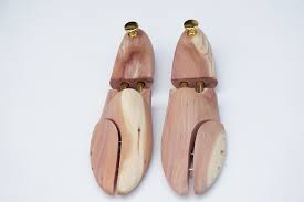 Fom giữ dáng giày