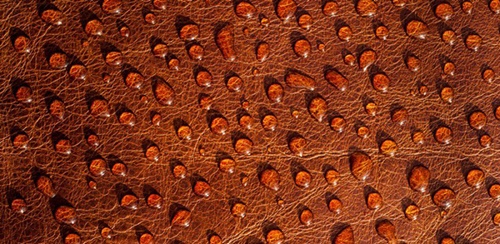 Da PU không thấm nước